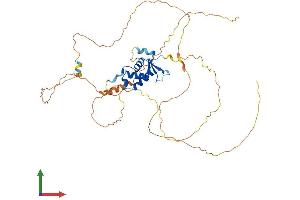 Protein Structure (PS) image for Forkhead Box D4 (FOXD4) (AA 1-444) protein (His tag) (ABIN7557593)