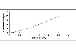 Typical standard curve (Desmocollin 2 ELISA 试剂盒)