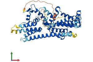 Protein Structure (PS) image for RasGEF Domain Family, Member 1B (RASGEF1B) (AA 1-473) protein (His tag) (ABIN7551303)
