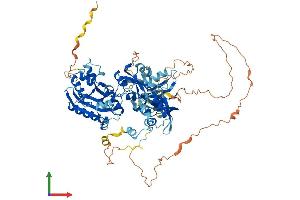 Protein Structure (PS) image for Epithelial Splicing Regulatory Protein 2 (ESRP2) (AA 1-727) protein (His tag) (ABIN7553859)
