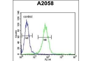Flow Cytometry (FACS) image for anti-SRY (Sex Determining Region Y)-Box 4 (SOX4) (AA 86-114), (N-Term) antibody (ABIN388786)