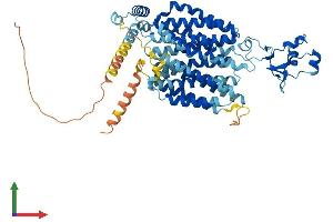 AlphaFold protein structure predicition of Human Recombinant SLC22A14 Protein, UniprotID Q9Y267