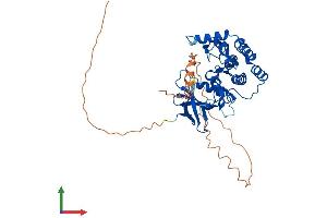 Protein Structure (PS) image for Casein Kinase 1, gamma 3 (CSNK1G3) (AA 1-424) protein (His tag) (ABIN7559141)