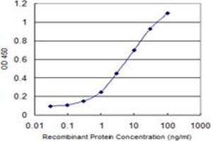 Detection limit for recombinant GST tagged ZNF461 is 0. (ZNF461 抗体  (AA 121-218))