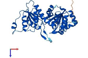 PGP Protein (AA 1-321) (His tag)