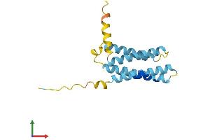 Protein Structure (PS) image for Proteolipid Protein 2 (PLP2) (AA 1-152) protein (His tag) (ABIN7556222)