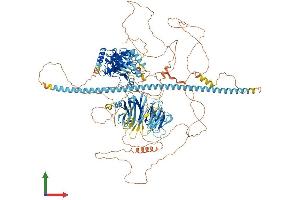 Protein Structure (PS) image for TRAF2 and NCK Interacting Kinase (TNIK) (AA 1-1323) protein (His tag) (ABIN7563537)
