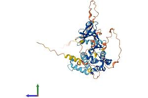 AlphaFold protein structure predicition of Human Recombinant MKNK1 Protein, UniprotID Q9BUB5