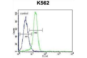 Flow Cytometry (FACS) image for anti-Nemo-Like Kinase (NLK) (Thr286) antibody (ABIN3003279) (Nemo-Like Kinase 抗体  (Thr286))