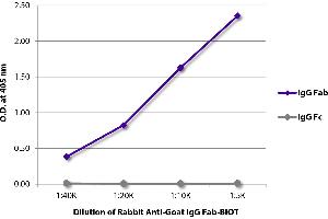 ELISA plate was coated with purified goat IgG Fab and IgG Fc. (兔 anti-山羊 IgG (Fab Region) Antibody (Biotin))