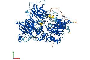 Protein Structure (PS) image for Dipeptidyl-Peptidase 8 (DPP8) (AA 1-898) protein (His tag) (ABIN7553742)