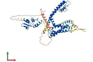 Protein Structure (PS) image for Potassium Voltage-Gated Channel, Shaker-Related Subfamily, Member 1 (KCNA1) (AA 1-495) protein (His tag) (ABIN7554232)