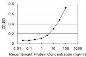 Detection limit for recombinant GST tagged NISCH is 0. (Nischarin 抗体  (AA 1246-1345))