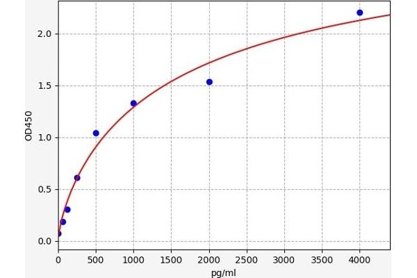 XCL1 ELISA 试剂盒