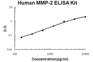 Human MMP-2 Accusignal ELISA Kit Human MMP-2 AccuSignal ELISA Kit standard curve. (MMP2 ELISA 试剂盒)