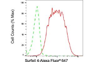 Flow cytometric analysis of Surfeit 4 expression in HT- cells using Surfeit 4 antibody (ABIN7800469), 1:2,000). (Recombinant Surfeit 4 抗体)