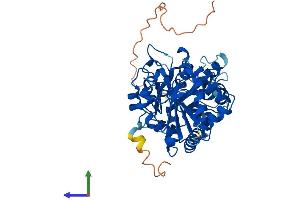 Protein Structure (PS) image for beta 1,3-Galactosyltransferase-Like (B3GALTL) (AA 1-489) protein (His tag) (ABIN7558657)