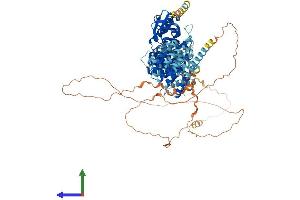 Protein Structure (PS) image for SCY1-Like 2 (SCYL2) (AA 1-930) protein (His tag) (ABIN7564555)