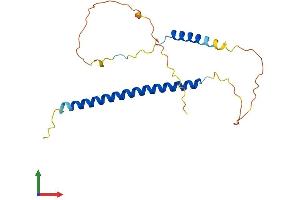 AlphaFold protein structure predicition of Mouse Recombinant Akirin2 Protein, UniprotID B1AXD8