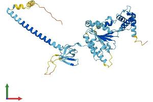 Protein Structure (PS) image for Proteasome (Prosome, Macropain) 26S Subunit, ATPase, 3 (PSMC3) (AA 1-439) protein (His tag) (ABIN7551018)
