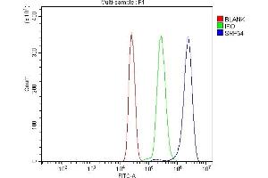 Flow Cytometry analysis of U937 cells using anti-SRP54 antibody (ABIN7600501).