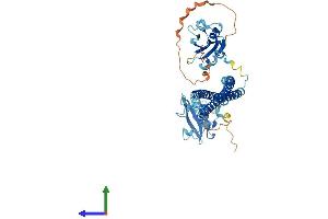 AlphaFold protein structure predicition of Mouse Recombinant Pik3r3 Protein, UniprotID Q64143