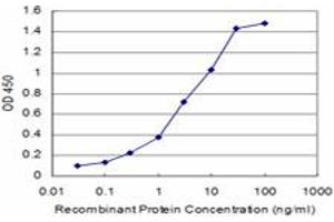 Detection limit for recombinant GST tagged HTR2C is approximately 0. (HTR2C 抗体  (AA 1-52))