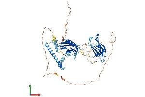Protein Structure (PS) image for Synaptotagmin Like Protein 1 (SYTL1) (AA 1-562) protein (His tag) (ABIN7544073)