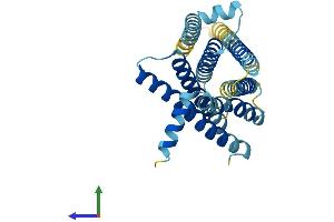 AlphaFold protein structure predicition of Mouse Recombinant Tas2r105 Protein, UniprotID Q9JKT4