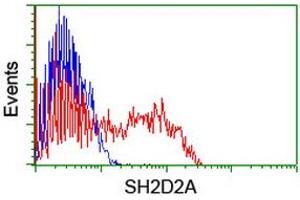 Flow Cytometry (FACS) image for anti-SH2 Domain Protein 2A (SH2D2A) antibody (ABIN1500914) (SH2D2A 抗体)