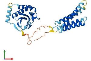 Protein Structure (PS) image for SEC22 Vesicle Trafficking Protein Homolog C (SEC22C) (AA 1-303) protein (His tag) (ABIN7559008)