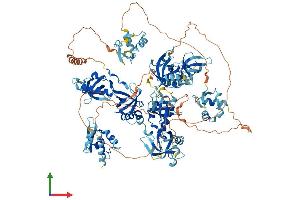 Protein Structure (PS) image for Tudor Domain Containing 7 (TDRD7) (AA 1-1098) protein (His tag) (ABIN7555745)