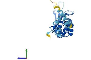 Protein Structure (PS) image for F-Box Protein 36 (FBXO36) (AA 1-188) protein (His tag) (ABIN7547530)