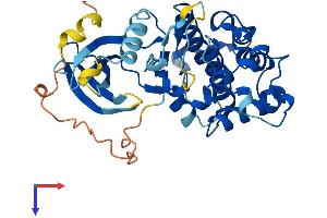 CCRK Protein (AA 1-346) (His tag)