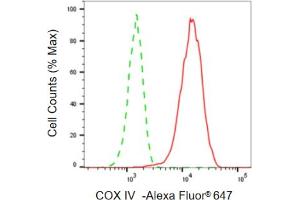 Flow cytometric analysis of COX IV expression in HepG2 cells using COX IV antibody (ABIN7798247), 1:2,000). (Recombinant COX IV 抗体)