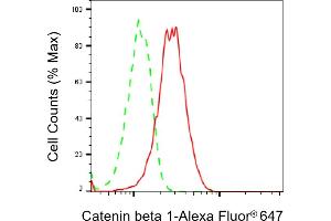 Flow cytometric analysis of Catenin beta 1 expression in HAP-1 cells using Catenin beta 1 antibody (ABIN7797929), 1:2,000). (CTNNB1 抗体)