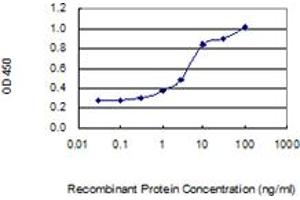ELISA image for anti-Phospholipase A2, Group IIA (Platelets, Synovial Fluid) (PLA2G2A) (AA 1-144) antibody (ABIN2752401)