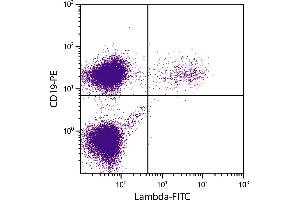 BALB/c mouse splenocytes were stained with Goat Anti-Mouse Lambda-FITC. (山羊 anti-小鼠 Ig (Chain kappa) Antibody (FITC))