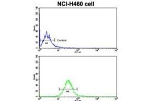 Flow Cytometry (FACS) image for anti-Cadherin 10, Type 2 (T2-Cadherin) (CDH10) antibody (ABIN2998269)