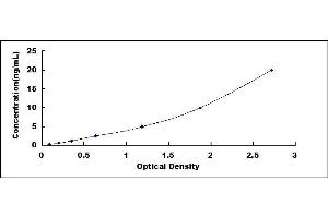 Typical standard curve (PRMT1 ELISA 试剂盒)