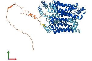 Protein Structure (PS) image for Solute Carrier Family 2 (Facilitated Glucose Transporter), Member 9 (SLC2A9) (AA 1-540) protein (His tag) (ABIN7548115)