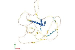 AlphaFold protein structure predicition of Mouse Recombinant Hoxa10 Protein, UniprotID P31310