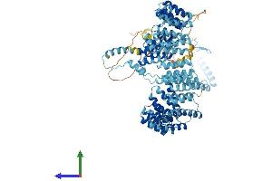 Protein Structure (PS) image for PRP6 Pre-mRNA Processing Factor 6 Homolog (PRPF6) (AA 1-941) protein (His tag) (ABIN7564824)