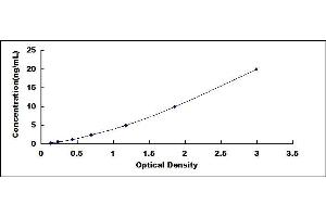 Typical standard curve (SDHC ELISA 试剂盒)