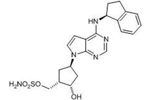 Chemical structure of MLN4924 , a Nedd8 activating enzyme inhibitor.