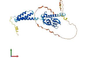 Protein Structure (PS) image for Popeye Domain Containing 2 (POPDC2) (AA 1-367) protein (His tag) (ABIN7561460)