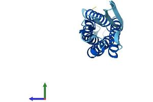 Protein Structure (PS) image for Epithelial Membrane Protein 3 (EMP3) (AA 1-163) protein (His tag) (ABIN7547422)