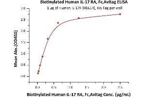 Immobilized Human IL-17F (H161R), His Tag (ABIN2870655,ABIN3071758,ABIN6810013) at 10 μg/mL (100 μL/well) can bind Biotinylated Human IL-17 RA, Fc,Avitag (ABIN4949027,ABIN4949028) with a linear range of 0. (IL17RA Protein (AA 33-320) (Fc Tag,AVI tag,Biotin))