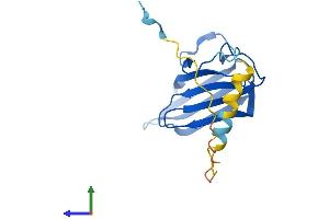 Protein Structure (PS) image for Prostaglandin E Synthase 3 (Cytosolic) (PTGES3) (AA 1-160) protein (His tag) (ABIN7544306)