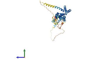 Protein Structure (PS) image for Osteoclast Stimulatory Transmembrane Protein (OCSTAMP) (AA 1-566) protein (His tag) (ABIN7554828)